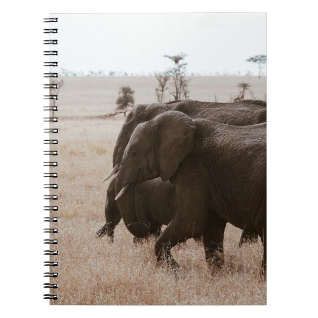 RACE OF ELEPHANTS NOTEBOOK (Front)