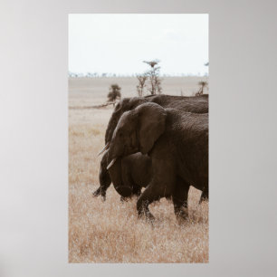 RACE OF ELEPHANTS POSTER