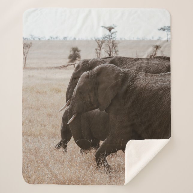 RACE OF ELEPHANTS SHERPA BLANKET (Front)