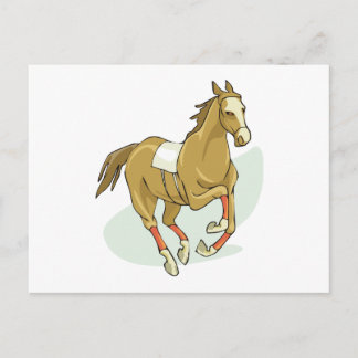 Racehorse Silks Horse Runs Gallps Trots Races Postcard
