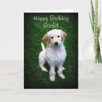 Rachel Happy Birthday Golden Doodle Puppy