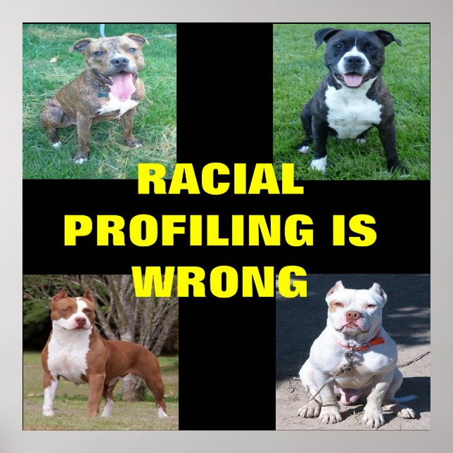 Racial Profiling Poster (Front)
