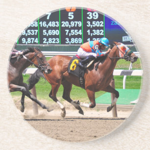 Racing from Beautiful Belmont Park Coaster