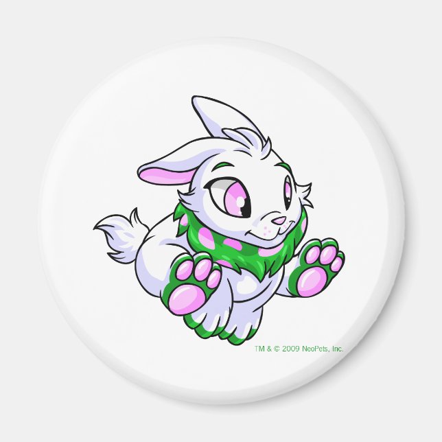 Racing green Cybunny Magnet (Front)