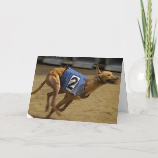Racing Greyhound Greeting Card (Front)