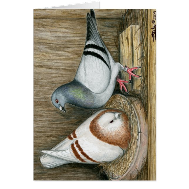 Racing Homers Home Life (Front)