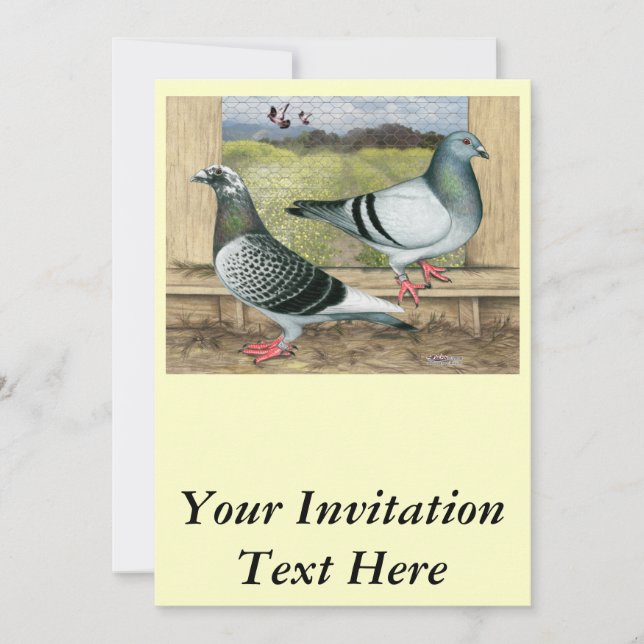Racing Homers in Loft Invitation (Front)