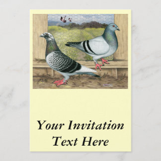 Racing Homers in Loft Invitation