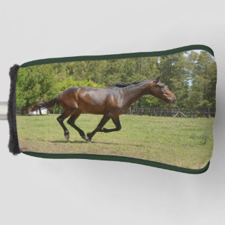 Racing Horse Running in the Meadow Golf Head Cover