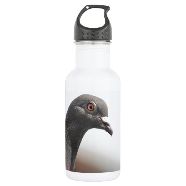 Racing pigeon 532 ml water bottle (Front)