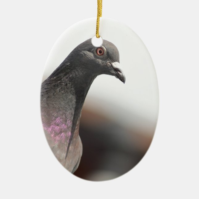 Racing pigeon ceramic tree decoration (Front)
