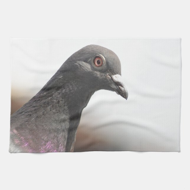 Racing pigeon tea towel (Horizontal)