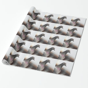 Racing pigeon wrapping paper