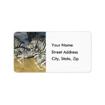 Racing Stripes - Zebra Address Labels
