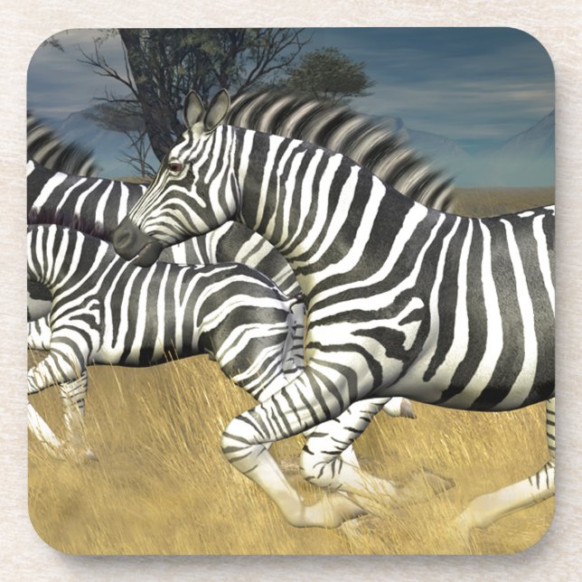 Racing Stripes - Zebra Coaster (Front)