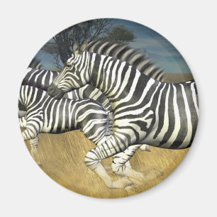 Racing Stripes - Zebra Magnet