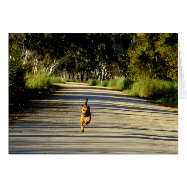 Racing to you! (Front Horizontal)