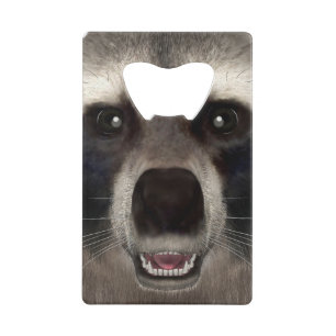 Racoon