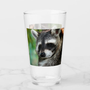 Racoon 001 glass