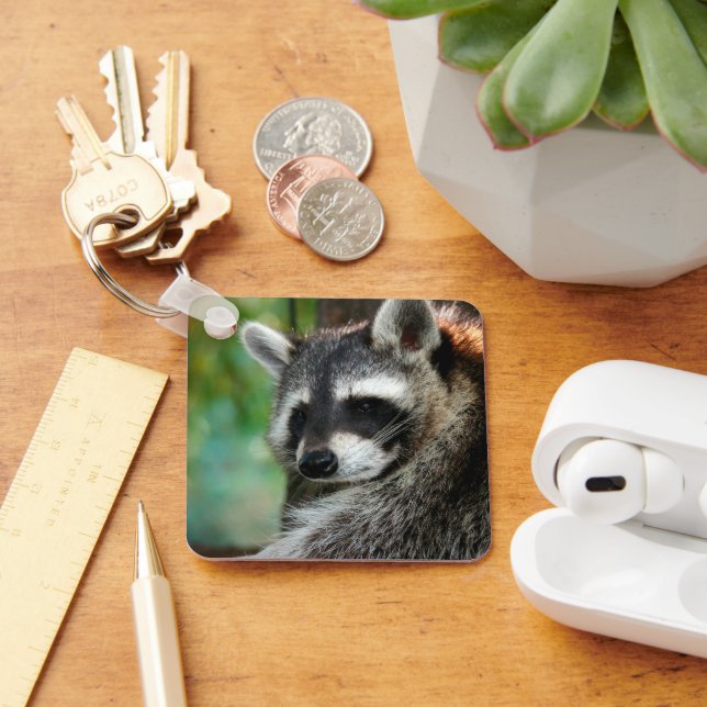 Racoon 001 key ring (Desk)