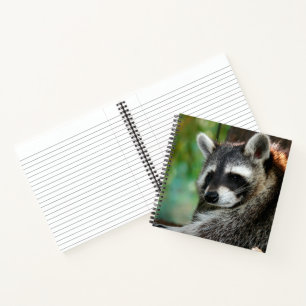 Racoon 001 notebook