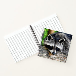 Racoon 003 notebook