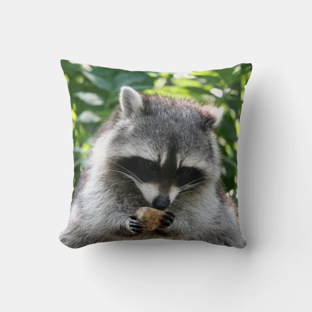 Racoon 004 cushion (Front)