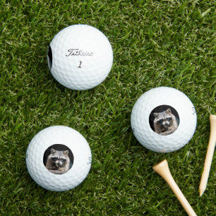 Racoon 004 golf balls