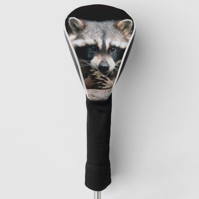 Racoon 004 golf head cover (Front)