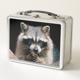 Racoon 004 metal lunch box