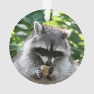 Racoon 004 ornament