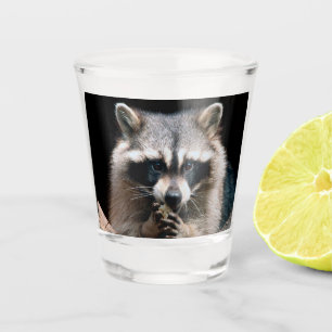 Racoon 004 shot glass