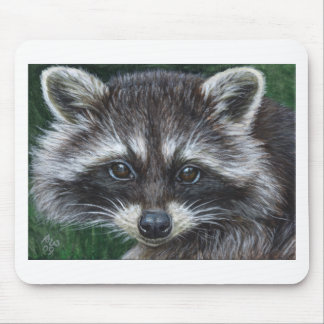 Racoon #3 mouse pad