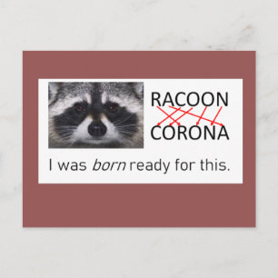 Racoon anagram Corona got it covid 19 do the mask Postcard