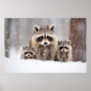 Racoon Animal Family Wandering Nature Poster