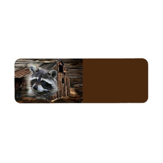 Racoon At The Old Barn (Front)