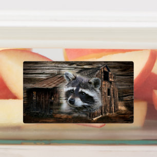 Racoon At The Old Barn