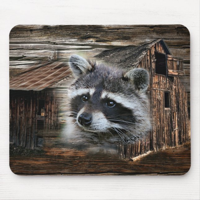 Racoon At The Old Barn Mouse Pad (Front)