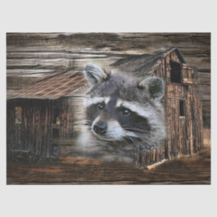 Racoon At The Old Barn Tissue Paper