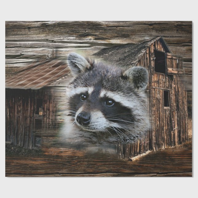 Racoon At The Old Barn Wrapping Paper (Flat)