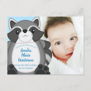Racoon Baby Shower Blue Postcard