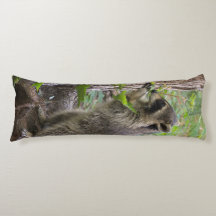 Racoon body pillow.