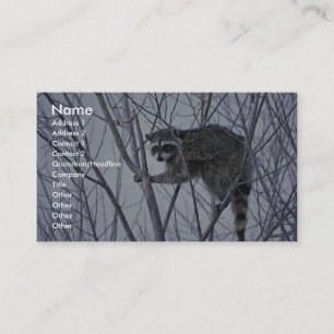 Racoon Business Card