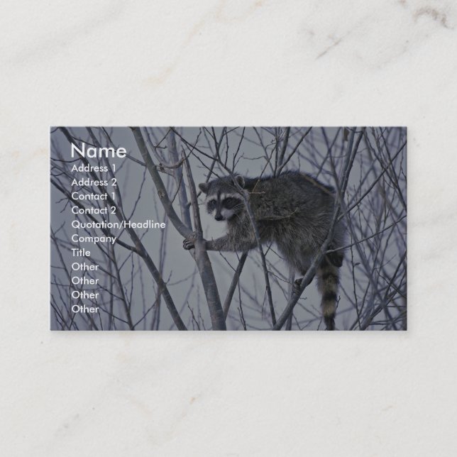 Racoon Business Card (Front)