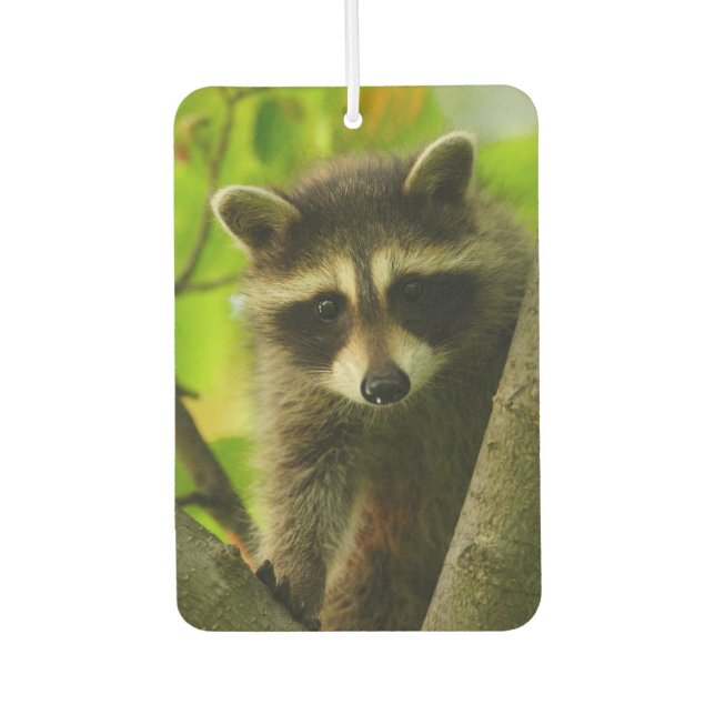 racoon car air freshener (Front)