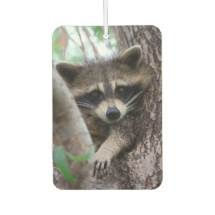 Racoon Car Air Freshener