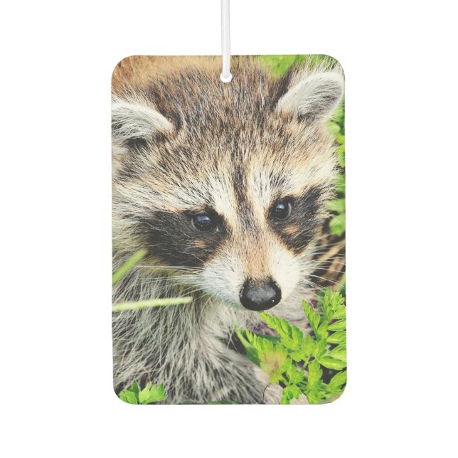 racoon car air freshener (Front)