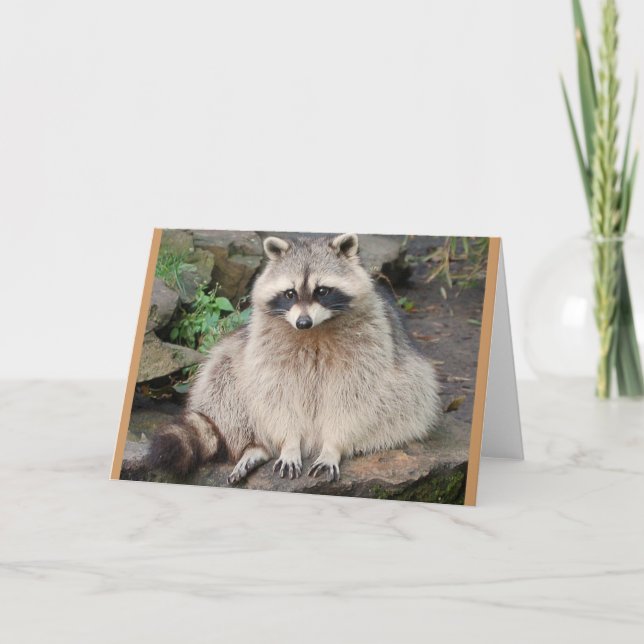 Racoon Card (Front)