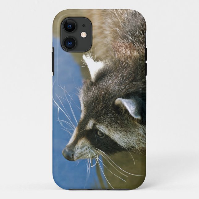 Racoon Case-Mate iPhone Case (Back)