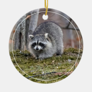 Racoon Ceramic Tree Decoration